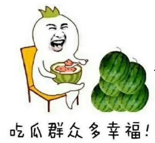广东娱乐圈吃瓜号